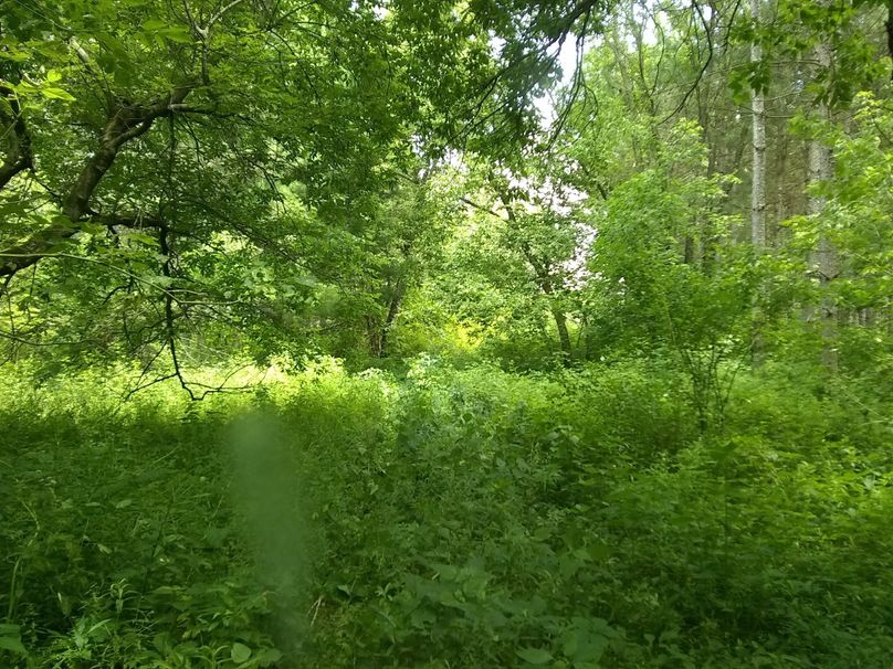 Img 20190715 134554870