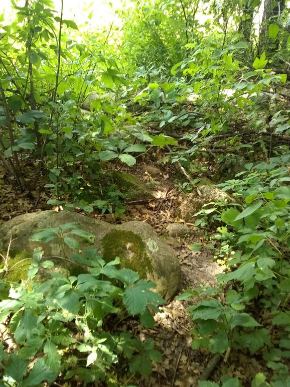 Img 20190715 134115990