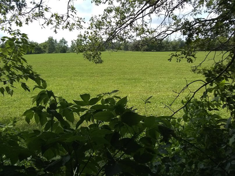 Img 20190715 134126809