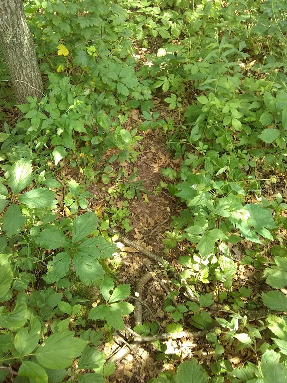 Img 20190715 134134630