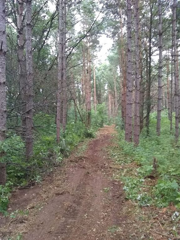 Img 20190726 095522727