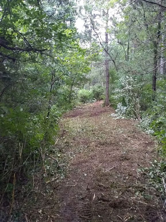 Img 20190726 095318837