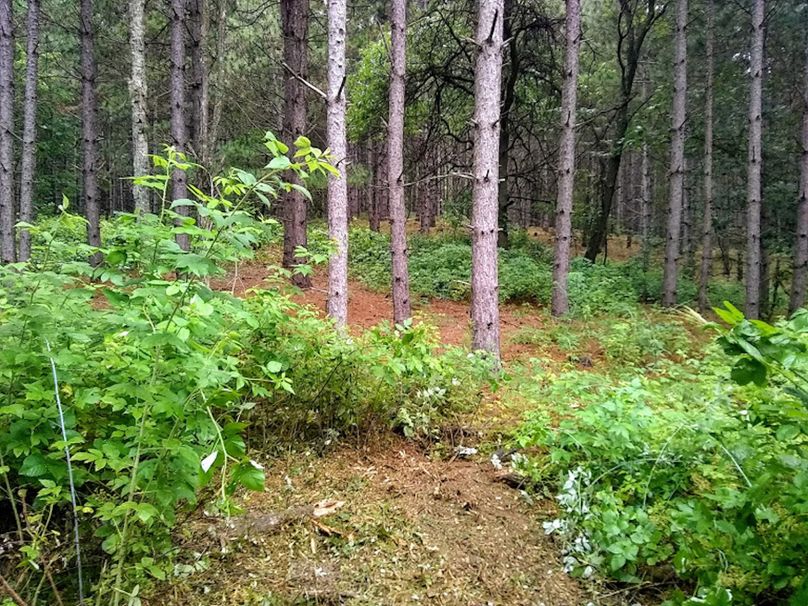 Img 20190726 100514439