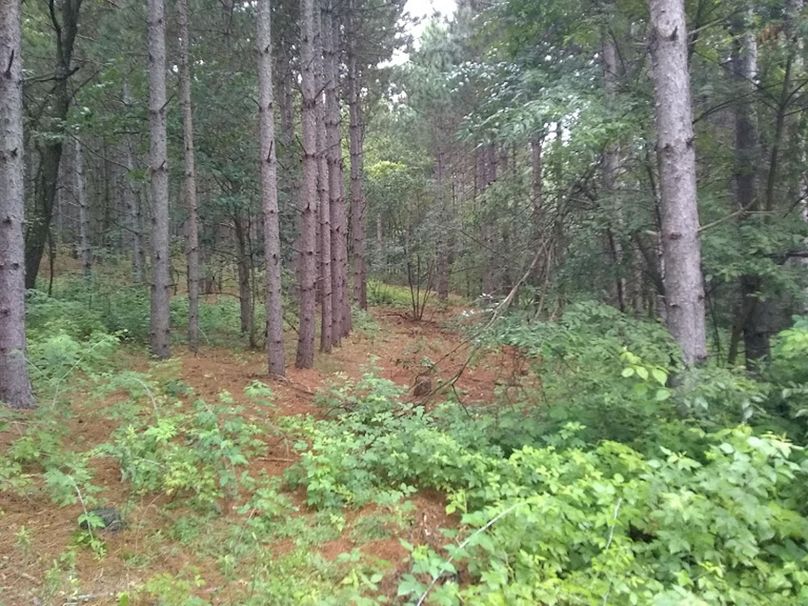 Img 20190726 100523995