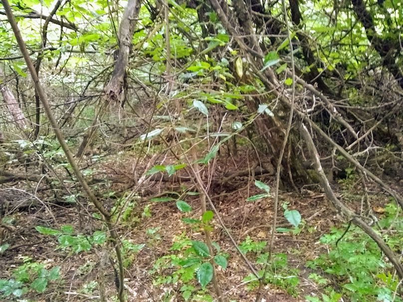 Img 20190726 100649578