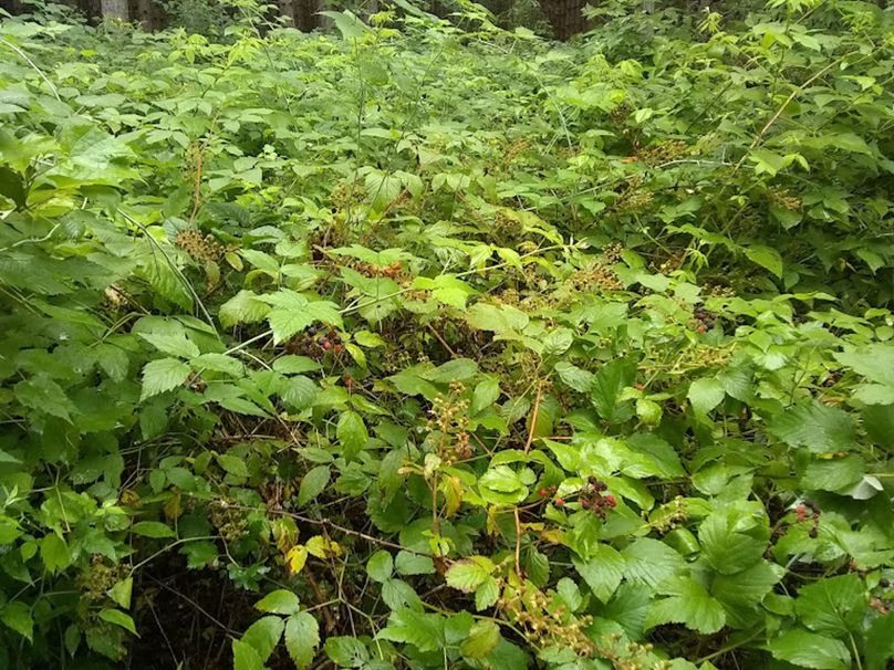 Img 20190726 101408164