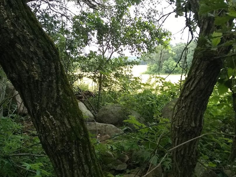 Img 20190726 102835320