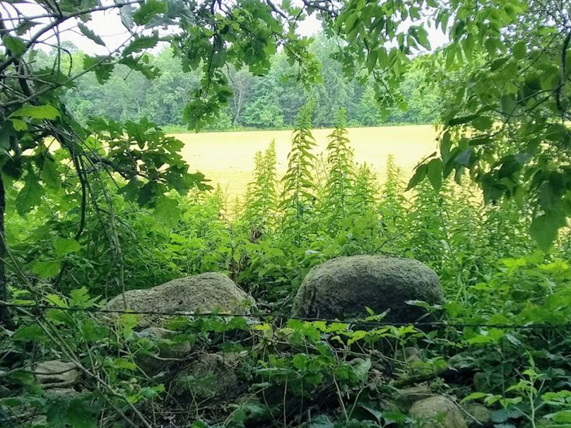 Img 20190726 102839333