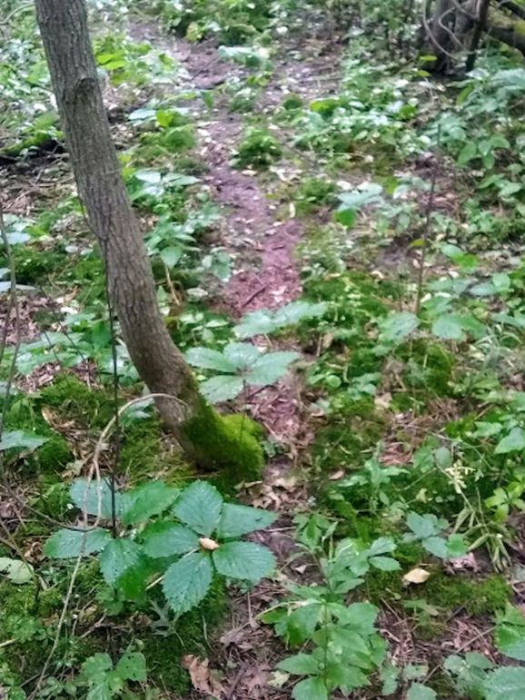 Img 20190726 103309407