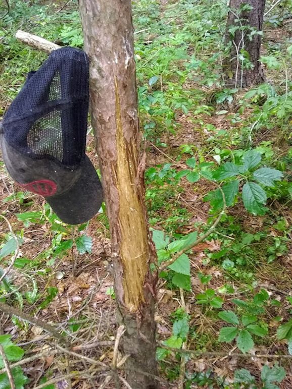 Img 20190726 104457630