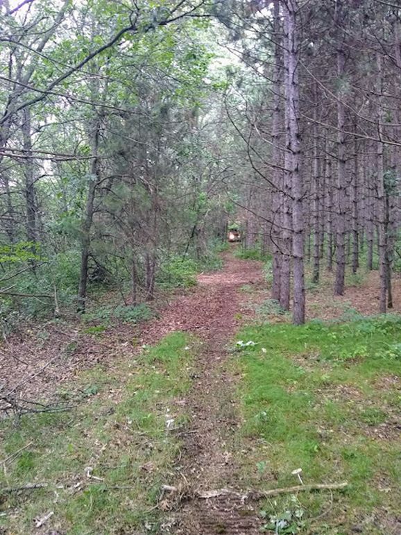 Img 20190726 104752678