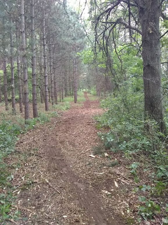 Img 20190726 104915772