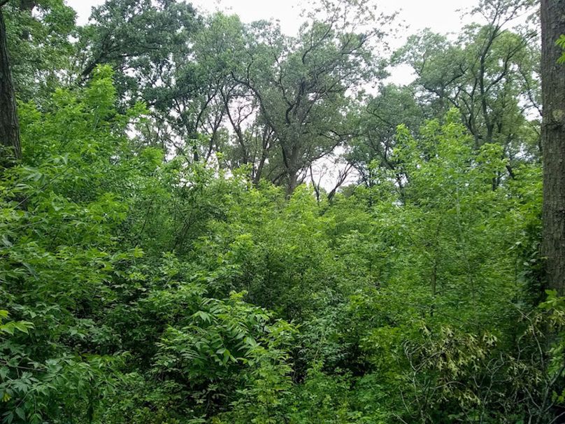 Img 20190726 110250365