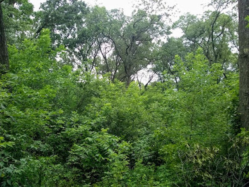 Img 20190726 110250365 (1)