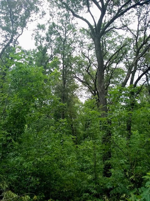 Img 20190726 110300655