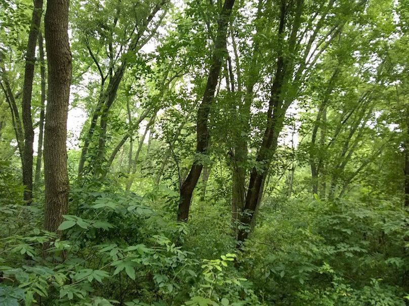 Img 20190726 115402362