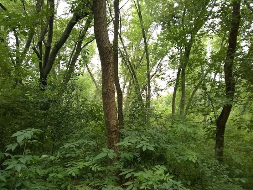 Img 20190726 115409151