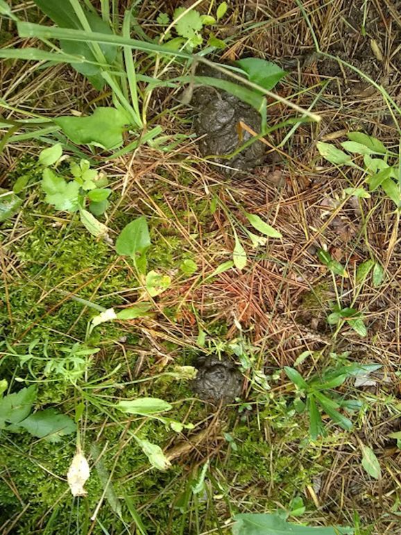 Img 20190726 121757567