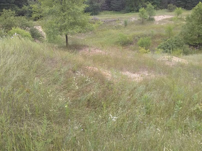 Img 20190726 121356941