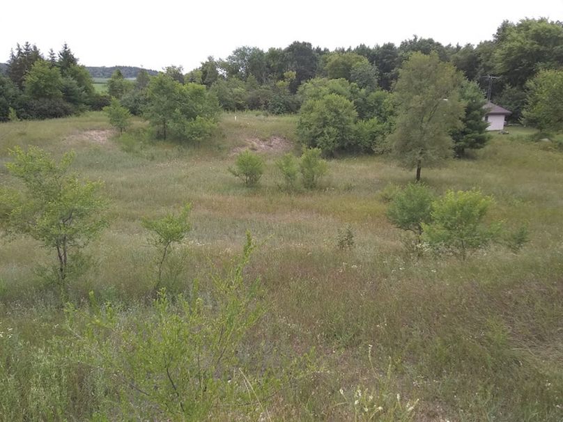 Img 20190726 121359906