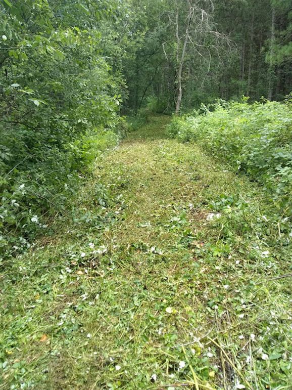 Img 20190726 123645518