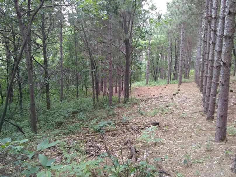 Img 20190726 124427150