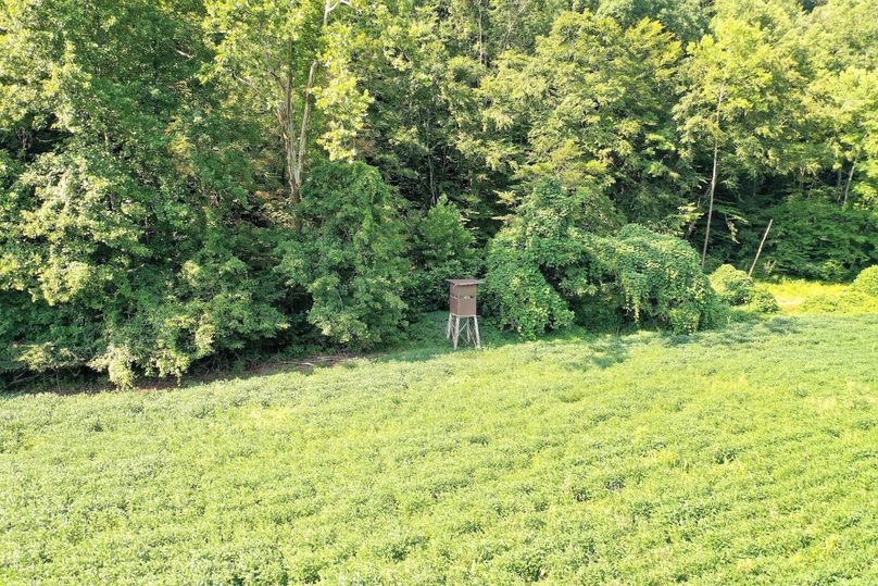 004 elevated hunting blind sitting over 2 acres of lush soybeans
