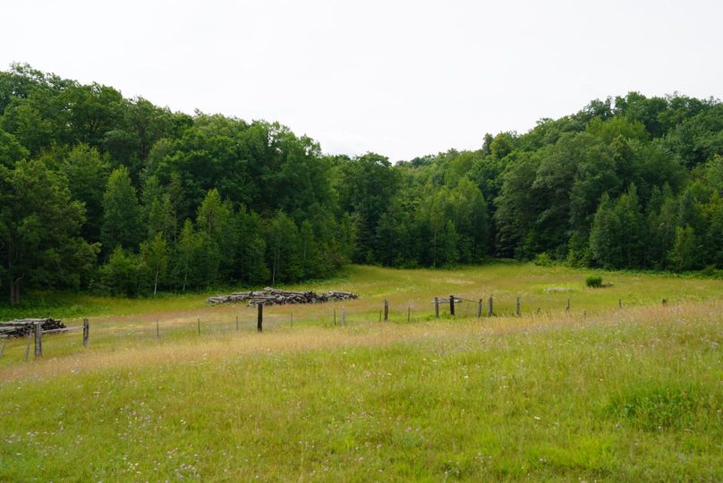 Washburn43roessel003a