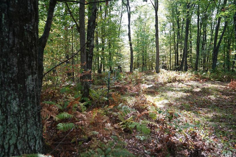 Washburn43roessel - 006