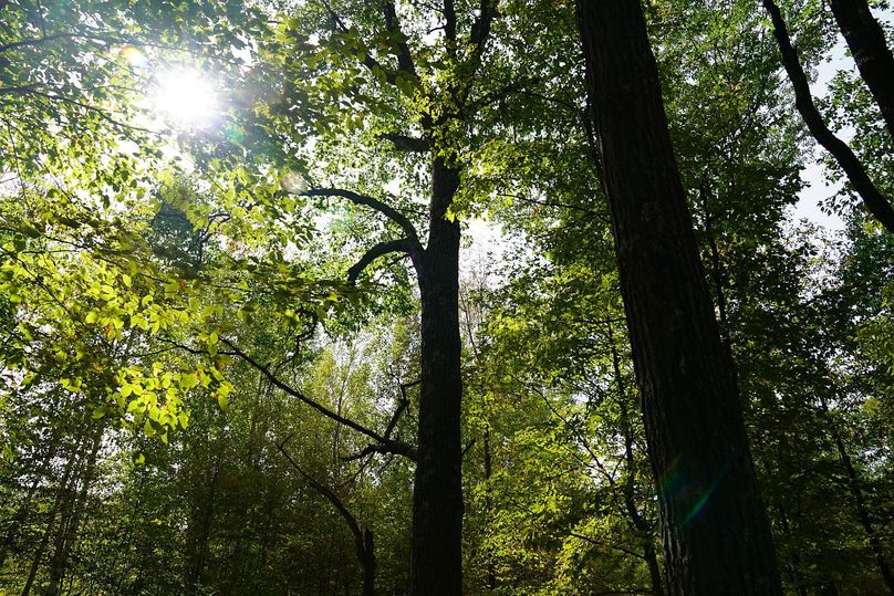 Washburn43roessel - 014