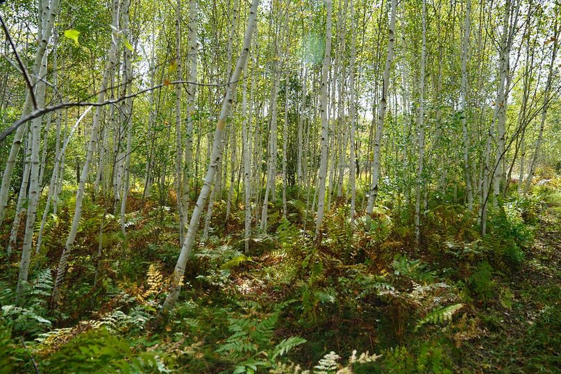 Washburn43roessel - 015