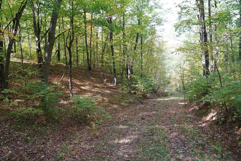 Washburn43roessel - 017