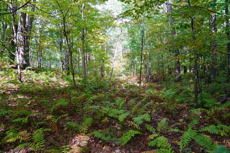 Washburn43roessel - 010