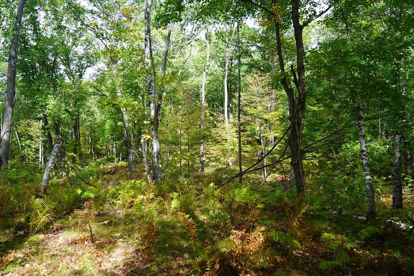 Washburn43roessel - 012