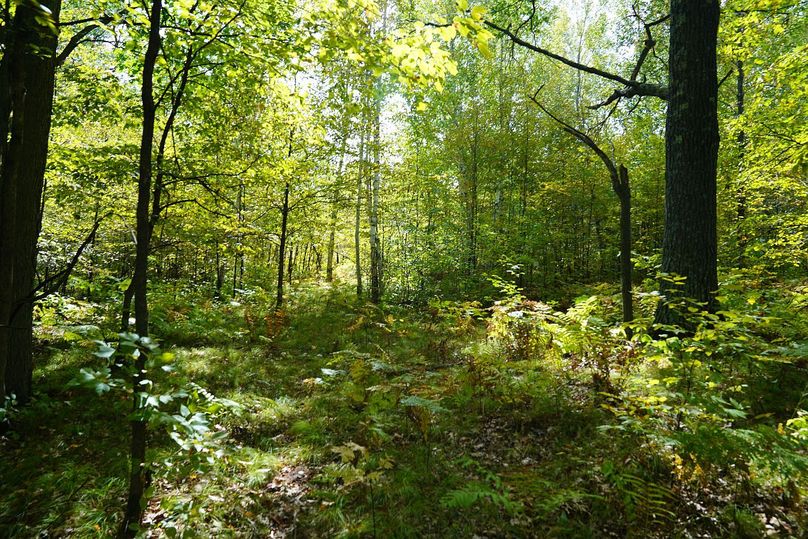 Washburn43roessel - 013