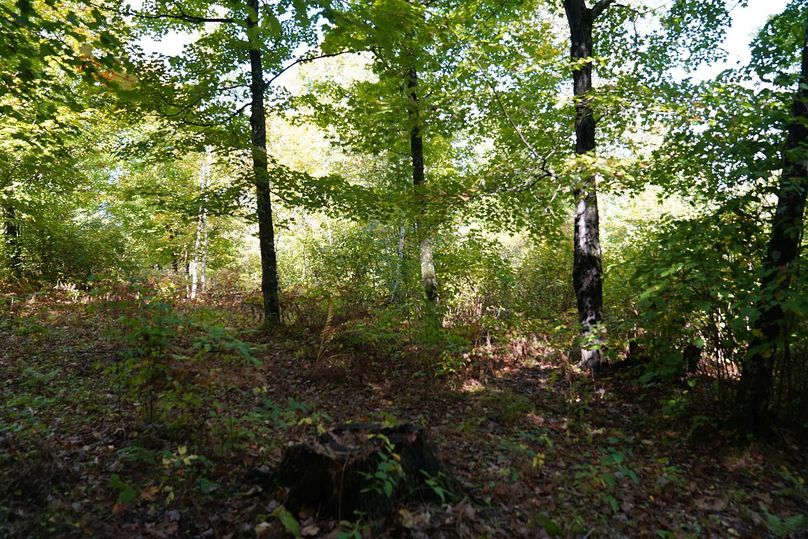 Washburn43roessel - 024