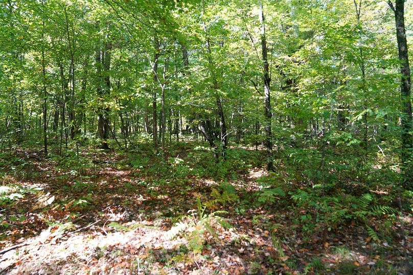 Washburn43roessel - 025