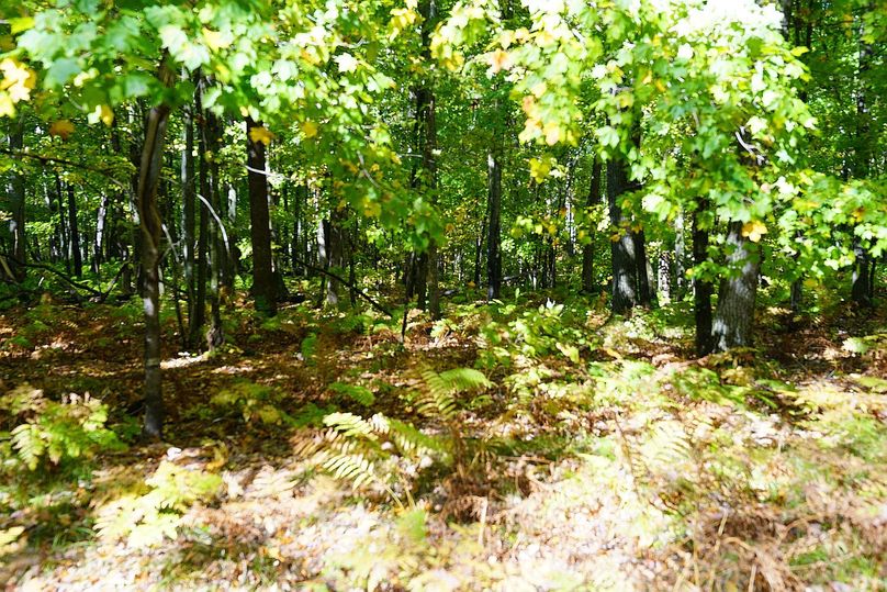 Washburn43roessel - 026