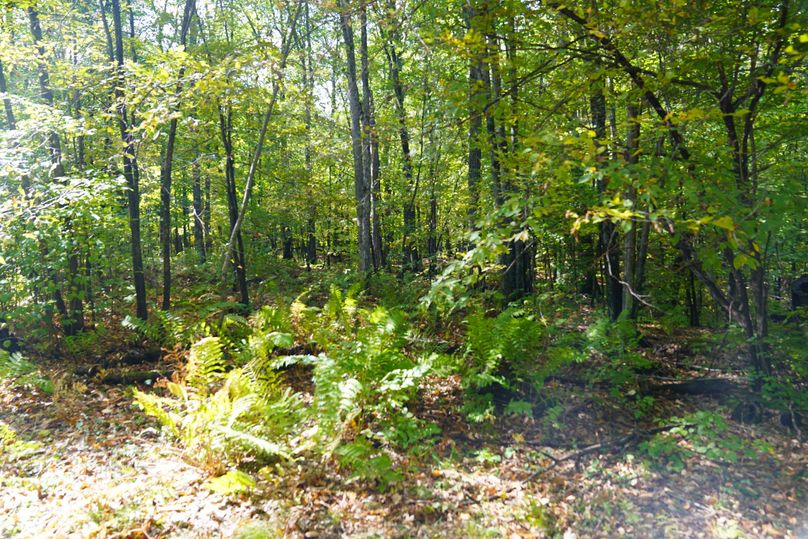 Washburn43roessel - 027