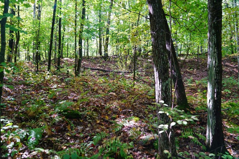 Washburn43roessel - 028