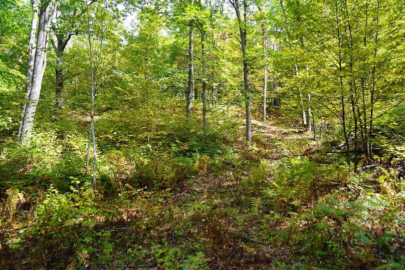 Washburn43roessel - 020