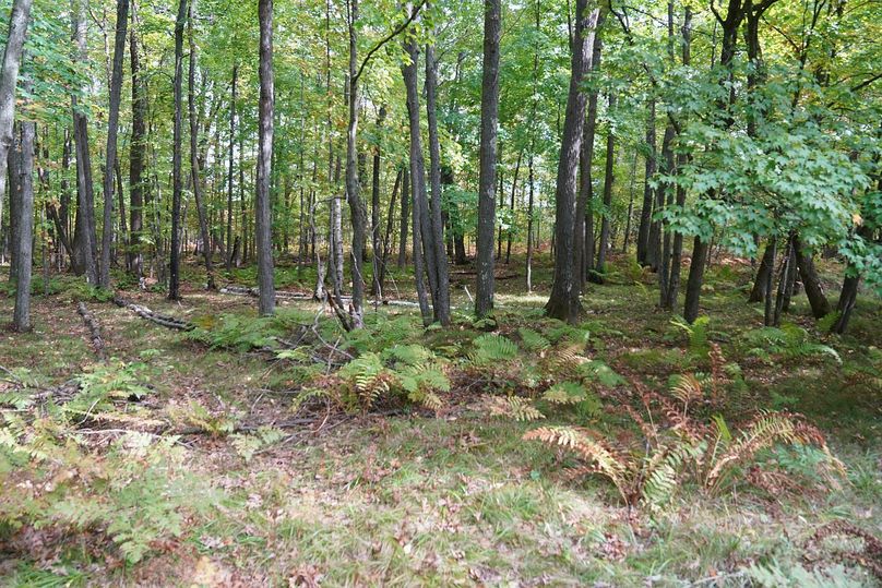 Washburn43roessel - 021