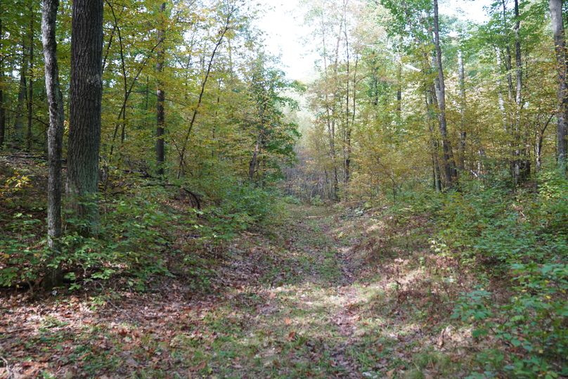 Washburn43roessel - 022