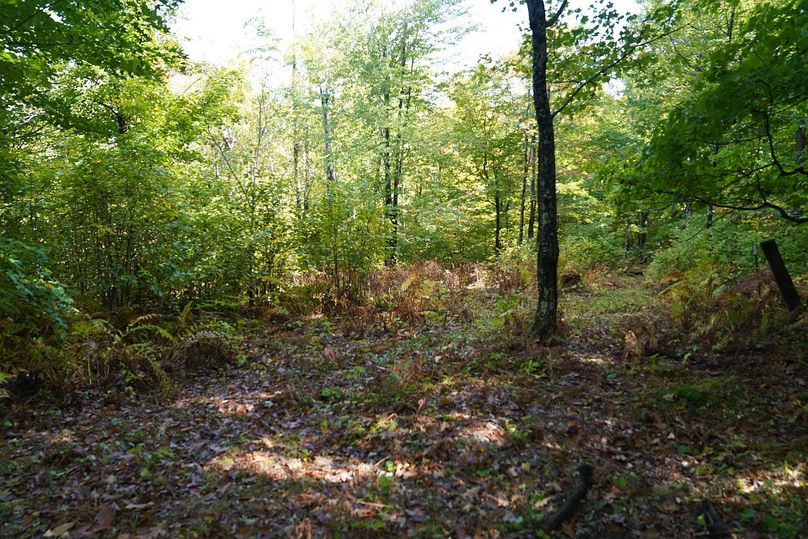 Washburn43roessel - 023