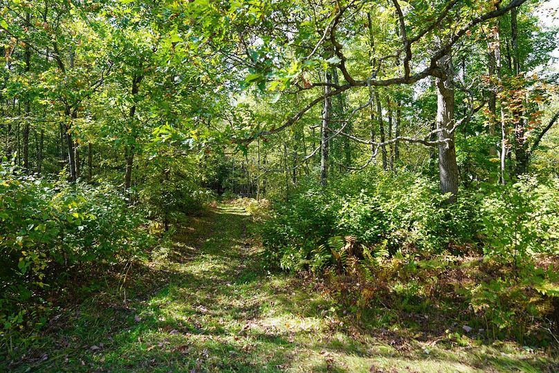 Washburn43roessel - 035