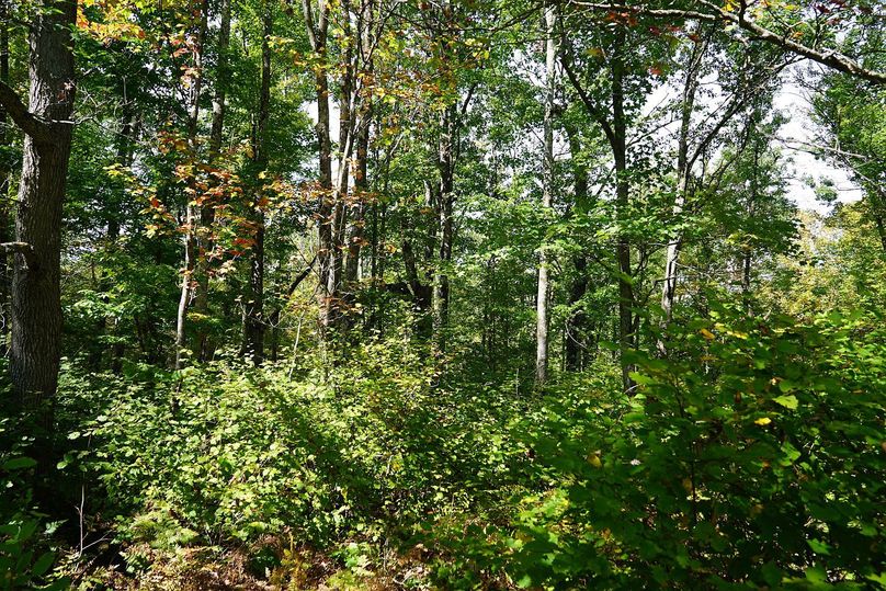 Washburn43roessel - 036