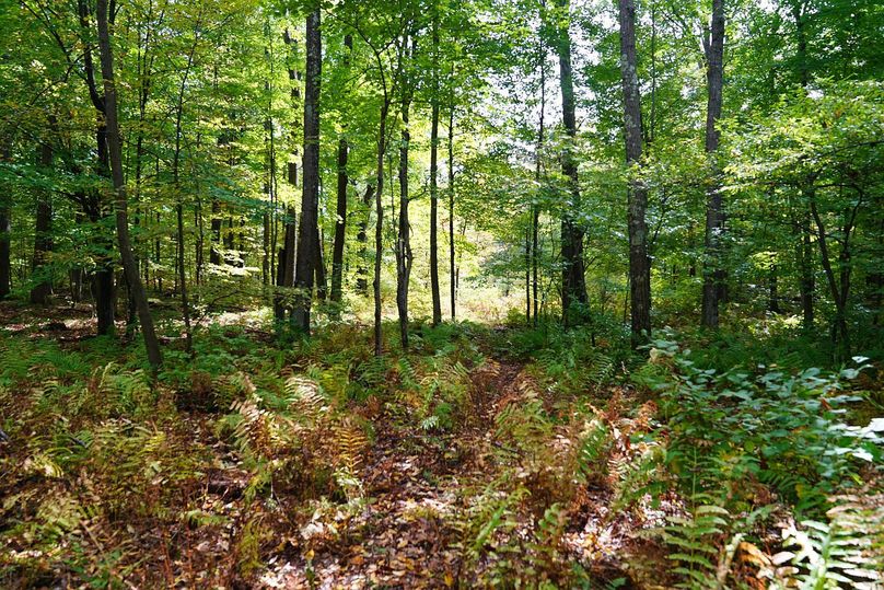 Washburn43roessel - 037