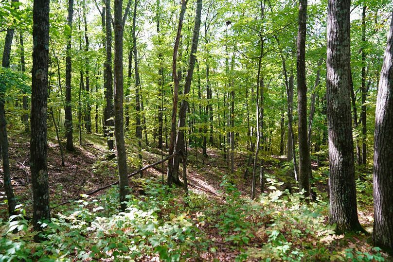 Washburn43roessel - 030