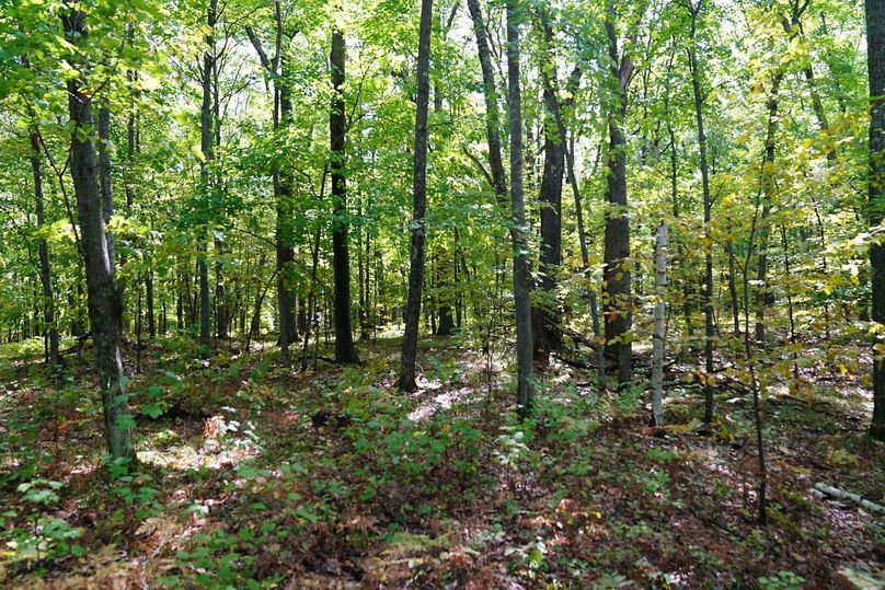 Washburn43roessel - 031