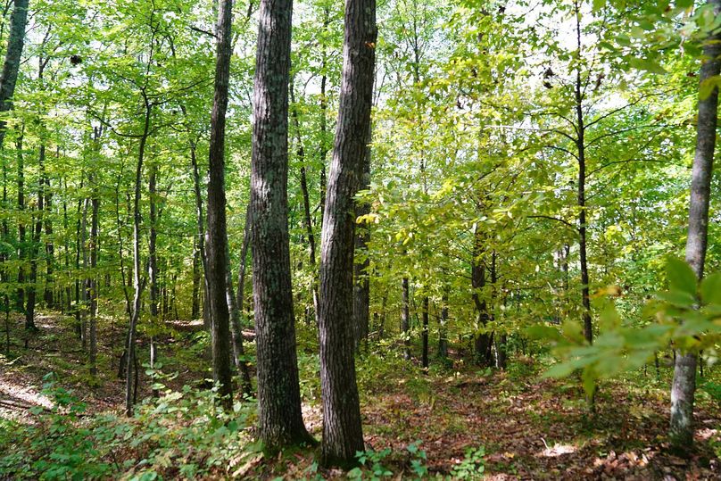 Washburn43roessel - 032